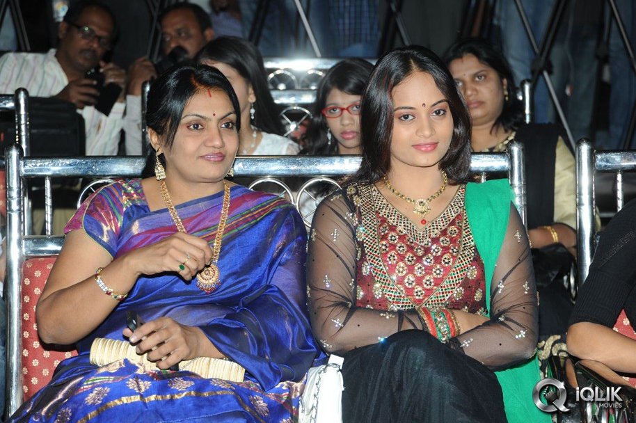 Ali-Baba-Okkade-Donga-Movie-Platinum-Disc-Function